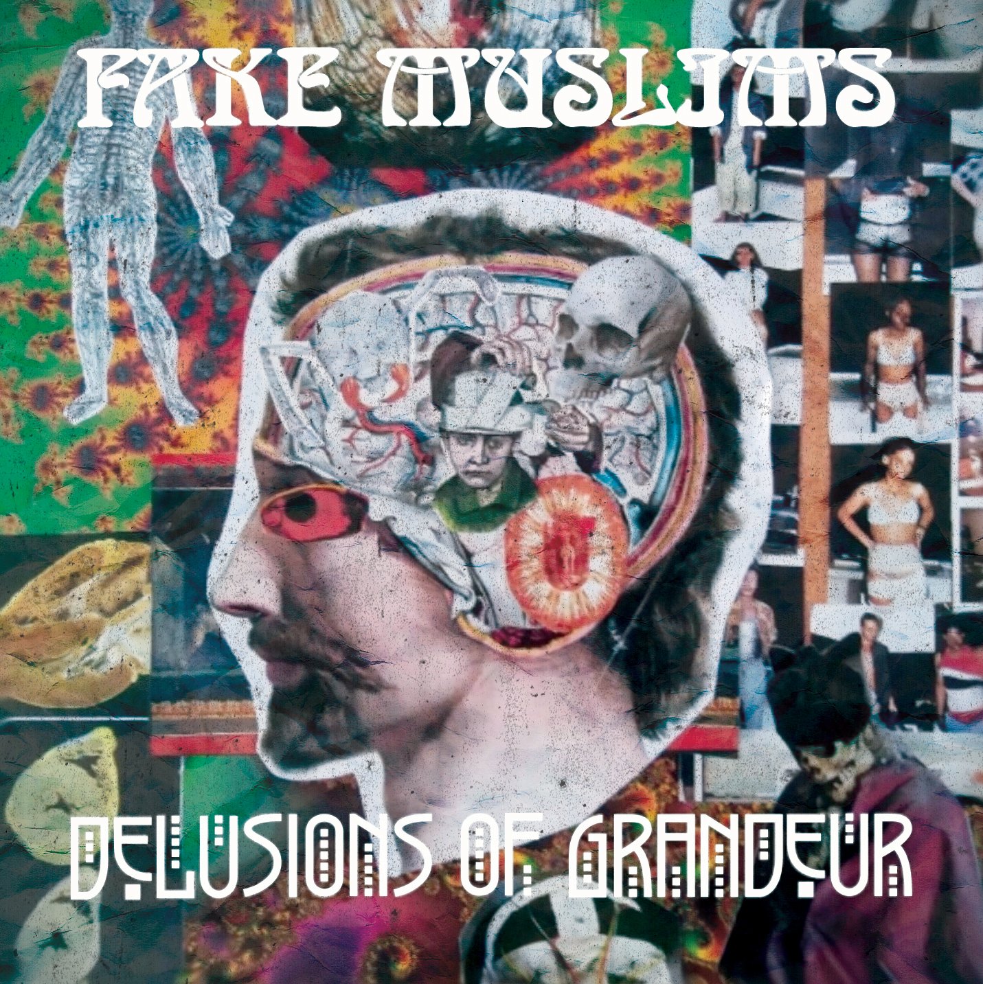 Fake Muslims - Delusions Of Grandeur album cover